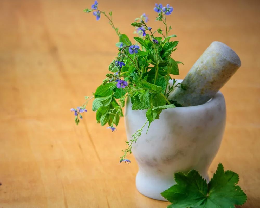 Is herbal better for you